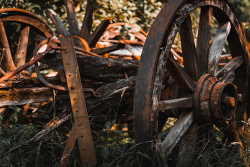 an old horse-drawn carriage for transporting wood stands in a meadow with tall grass, taken during the day in bright sunshine
