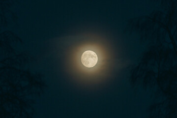 Fototapeta premium full moon with winter halo