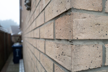 Shallow focus of the corner of a new house showing detail of some of the brick work and pointing. An alley way is on the left which stores wheelie bins.