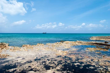 Crédence de cuisine en verre imprimé Plage de Seven Mile, Grand Cayman Île Grand Cayman Plage rocheuse de Seven Mile