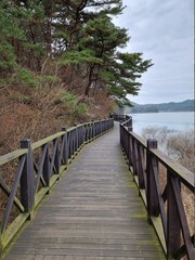 Obraz premium Scenery, trees, winter trees, autumn trees, nature, ponds, lakes, skies, clouds, dry trees, melancholy, quiet.