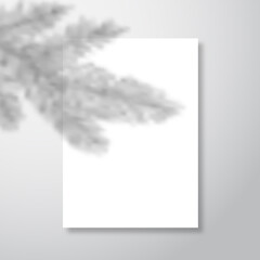 Vector shadow overlay of Christmas tree fir with blank paper letterhead sheet. New Year stationery greetings transparent background spruce branches decoration template Light effect for mockups