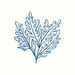 Seaweeds silhouettes. Underwater coral reef, hand drawn sea kelp plant, isolated marine weeds outdoor ocean.