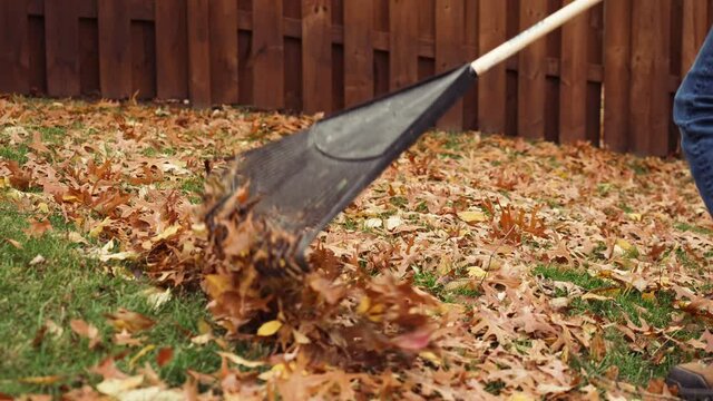 Raking leaves in the yard on a cool, fall day, preparing for winter at 120fps