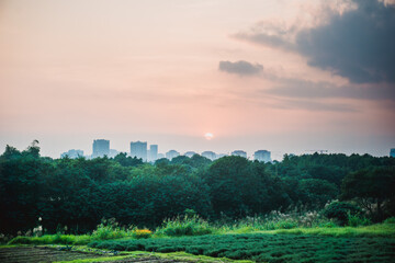 Fototapeta premium Beautiful sunset in the rural countryside. Natural summer landscape