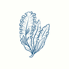 Seaweeds silhouettes. Underwater coral reef, hand drawn sea kelp plant, isolated marine weeds outdoor ocean.