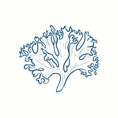 Seaweeds silhouettes. Underwater coral reef, hand drawn sea kelp plant, isolated marine weeds outdoor ocean.