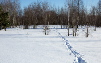 Path and footprints in the winter forest