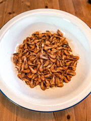 rice on a plate