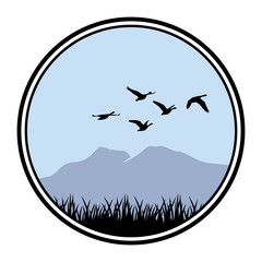 flock of birds