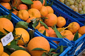 fruit for sale at the vegetable market
