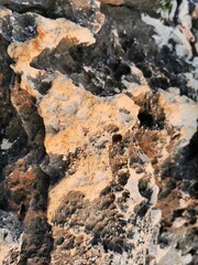 Küste-1