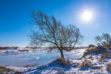 Snowy and ice winter landscape at the Amsterdamse Waterleidingduinen