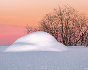 Drifts of snow and the crown of a tree against the backdrop of a beautiful pink sunset. Calm winter landscape