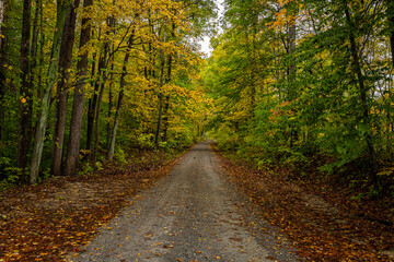 Naklejka premium Indiana Dirt Road