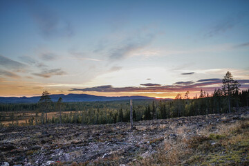 Sunset somewhere along the road in the Swedish forest, Sweden.