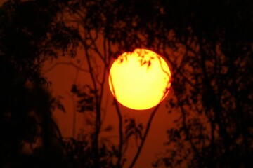 Sunrise/ Amanecer