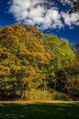 Autumn in Parke County Indiana