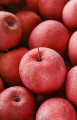 Fototapeta na wymiar Ripe and juicy Red apples with dew drops.