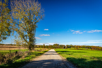 Obraz premium Parke County Indiana Rural Road