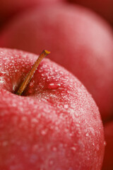Ripe fruit of a Red apple in close-up with dew drops.