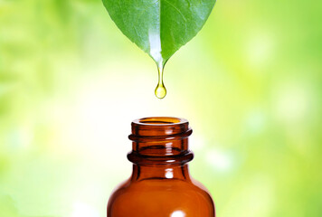 Essential oil. Herbal essence dropping from fresh leaf to the bottle	

