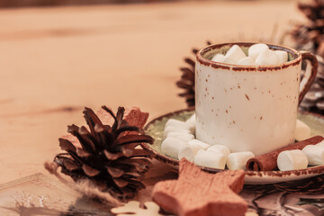 Hot cocoa or coffee with marshmallow in a white ceramic mug, cones, close up . The concept of Christmas morning, cozy holidays and New Year