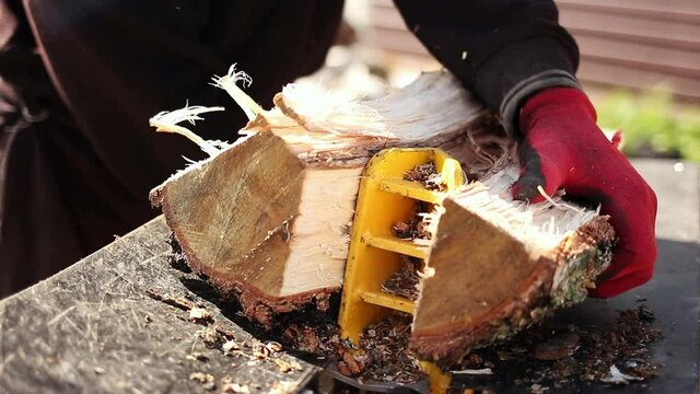 Close up of male hands chopping birch firewood on a hydraulic wood splitter. Sawmill. Birch firewood for fireplac
