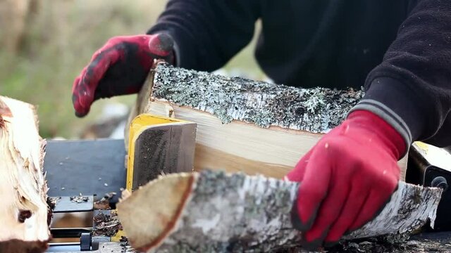 Close up of male hands chopping birch firewood on a hydraulic wood splitter. Sawmill. Birch firewood for fireplac