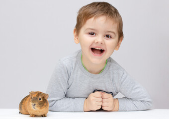 Cute boy with funny guinea pig on white background