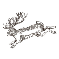 Jackalope. Hate with horns jumping. Sketch. Engraving style. Vector illustration