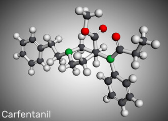 Carfentanil, carfentanyl molecule. It is derivative of fentanyl, one of the most potent opioids, used in veterinary medicine to anesthetize large animals. Molecular model. 3D rendering