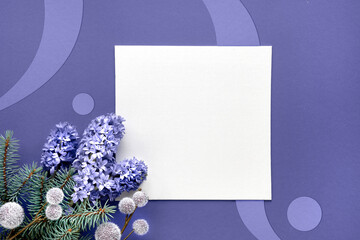 Mockup with square blank canvas. Purple very peri monochrome paper background. Simple minimal winter arrangement with fir twigs, hyacinth flowers. Flat lay with organic shapes on paper.