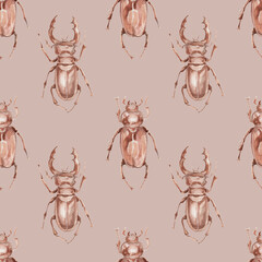 Beetle rhinoceros insects nature forest animals entomology biology watercolor illustration hand drawn background patern seamless