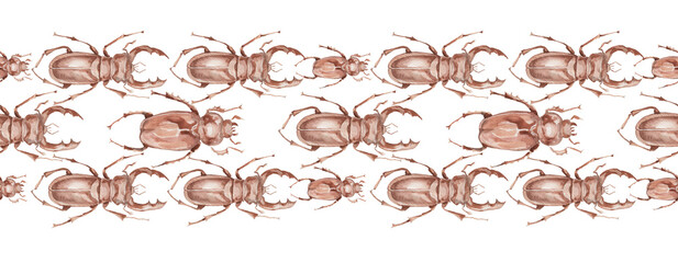 Beetle rhinoceros insects nature forest animals entomology biology watercolor illustration hand drawn background patern seamless