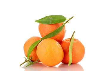 Several bright orange ripe tangerines, close-up, isolated on white.