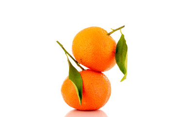 Two bright orange ripe tangerines, close-up, isolated on white.