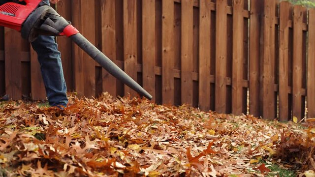 Using a leaf blower to clear the the grass of autumn fallen leaves