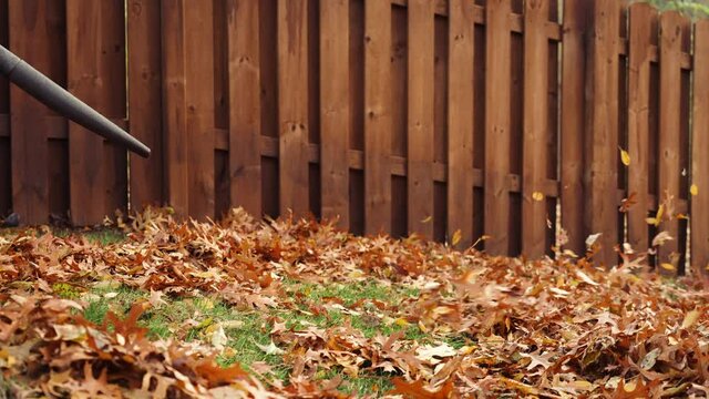 Clearing the leaves using a leaf blower in the autumn in slow motion