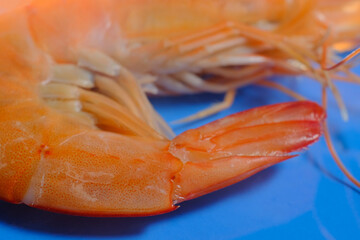 Macro Closeup Whole Shrimp
