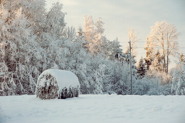 scenic winter landscape of a haystack and forest and snow