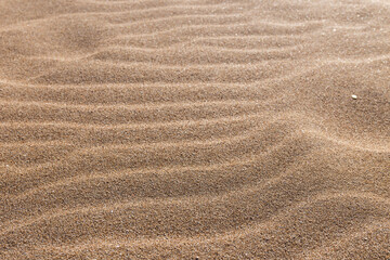 Fototapeta na wymiar Close-up of sand on the beach with wave form produced by the wind