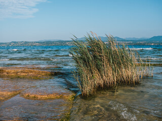 Lake Garda Landscape at Jamaica Beach on Sirmione Peninsula