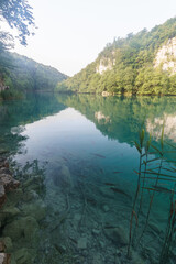 Crystal clear turquoise water with fish in lake at Plitvice National Park, Croatia