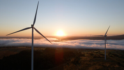 Wind power plant at sunrise. Aerial photography