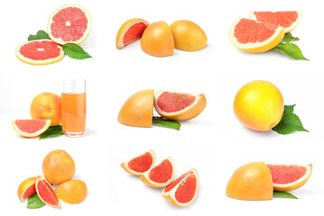Collection of grapefruit on a white background clipping path