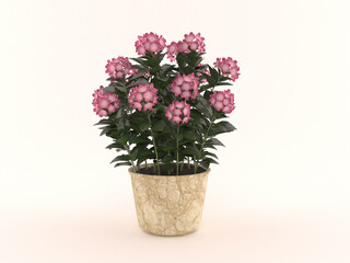 bouquet of flowers
