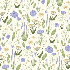 Seamless pattern with wildflowers. Cornflowers and flowering herbs