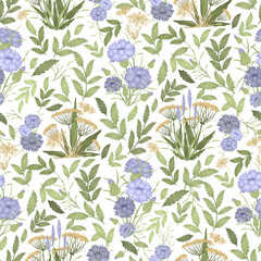 Floral seamless pattern with wildflowers. Plant Abstract