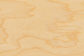 Texture of plywood for background.